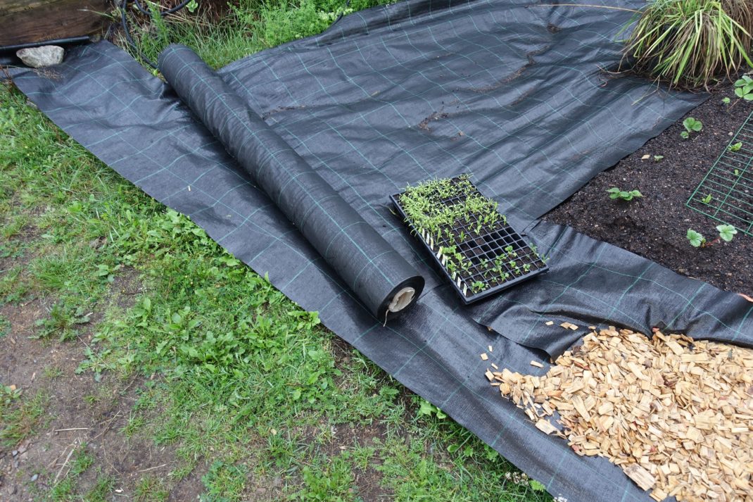 Svart markduk ligger på gräsmattan. Edge your beds, black landscape fabric