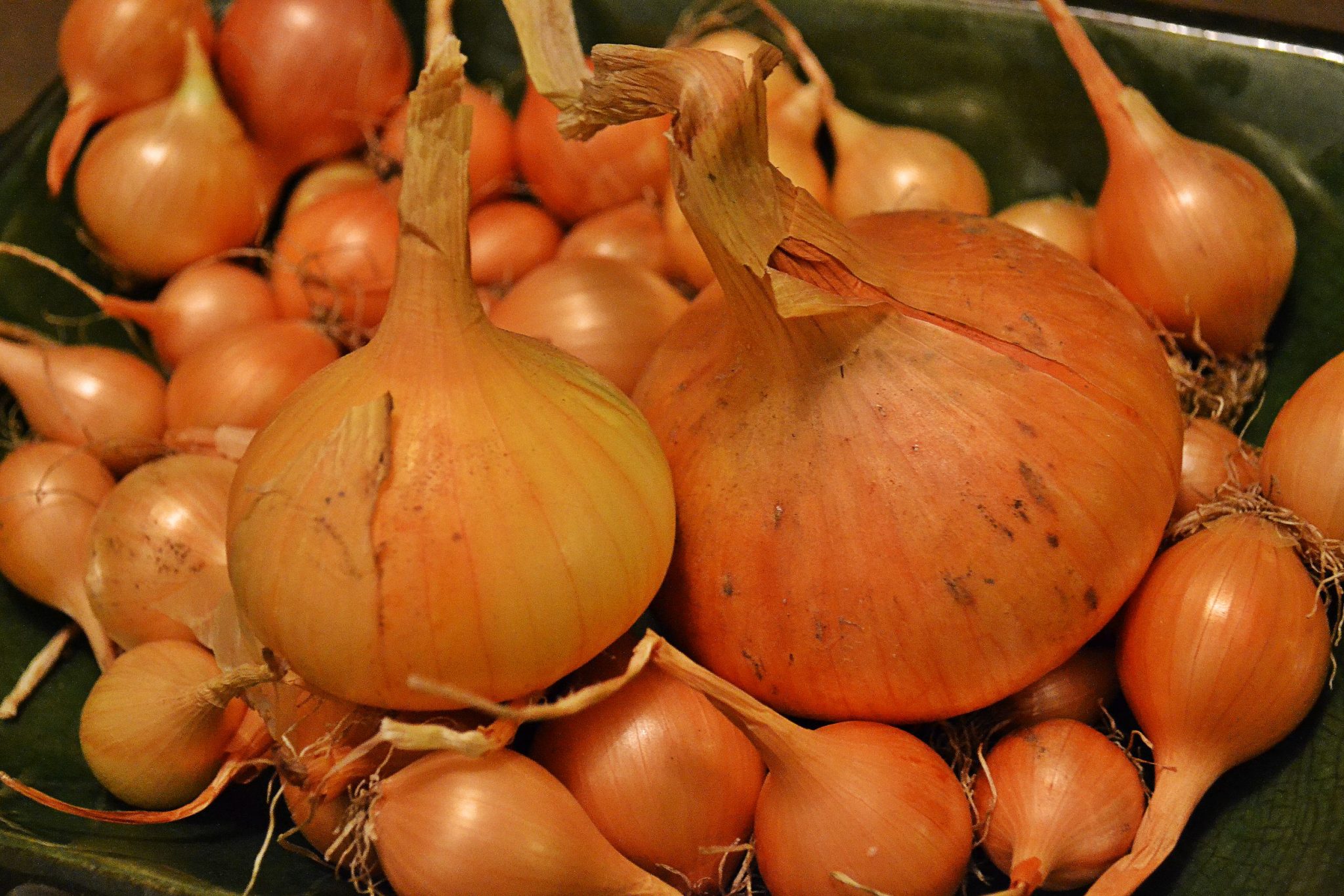 How to Store Onions at Home Sara's Kitchen Garden