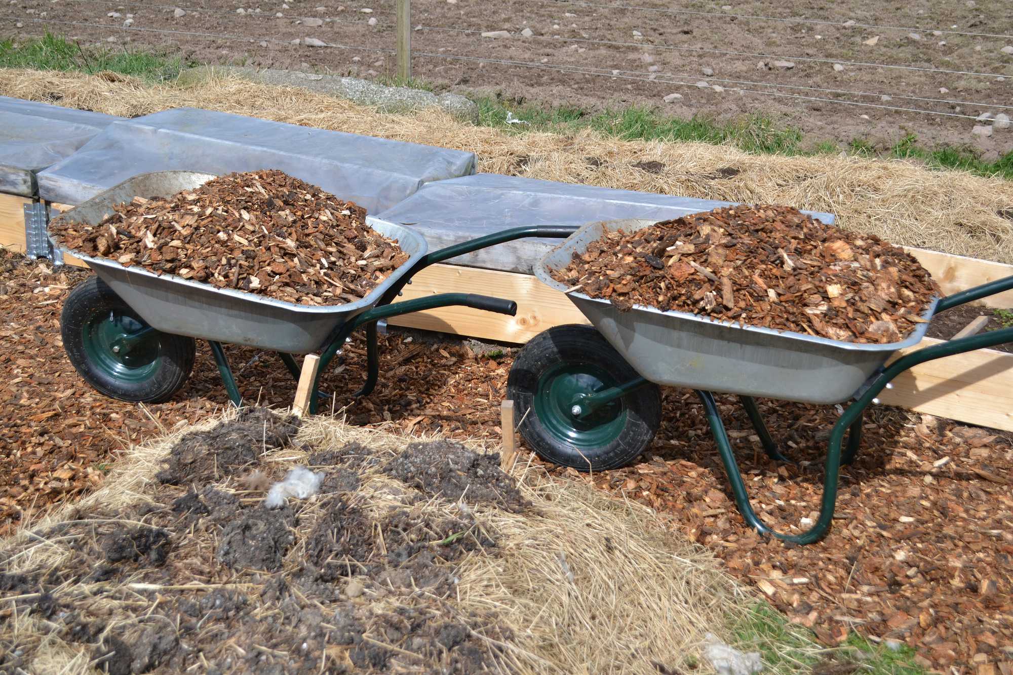 My wood chip garden paths – Sara's Kitchen Garden