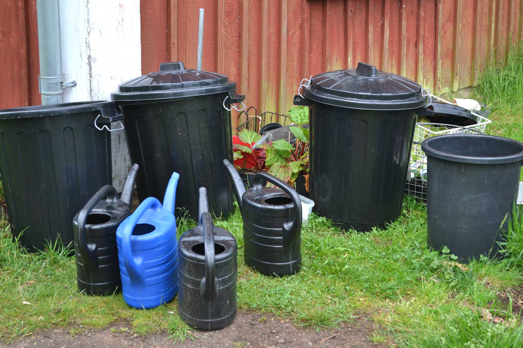 Remember to childproof your garden Sara's Kitchen Garden