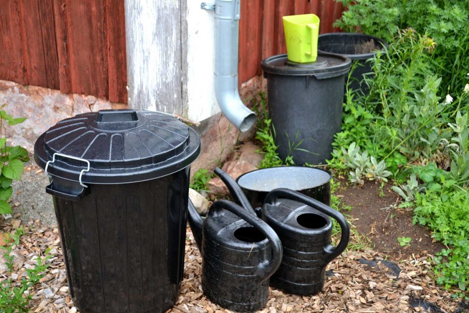 Remember to childproof your garden Sara's Kitchen Garden