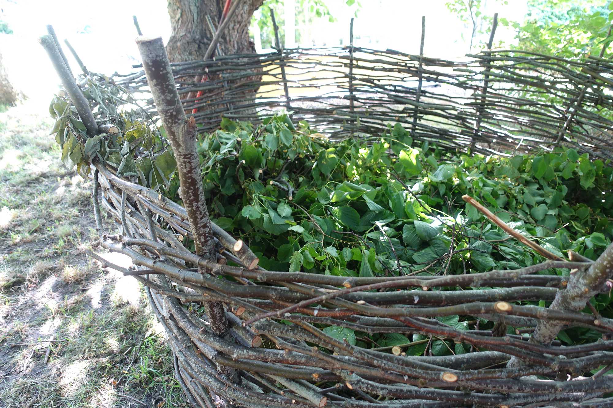 Garden DIY Making a woven compost basket Sara's Kitchen Garden