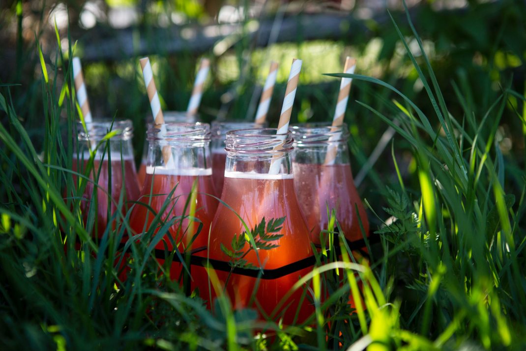 Sex fina glasflaskor med rosaröd rabarbersaft står i gräset med vackert ljus som strilar mellan bladen.