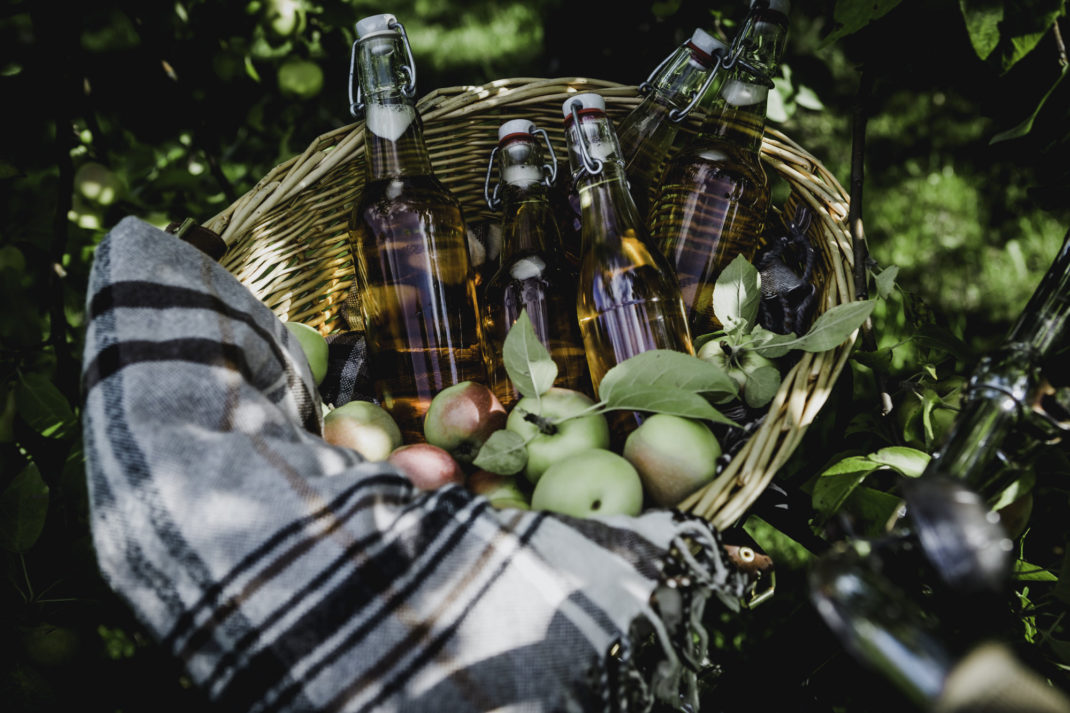 En korg med klirrande klara flaskor med guldguld äppelsaft i. Mot en lökig bakgrund.