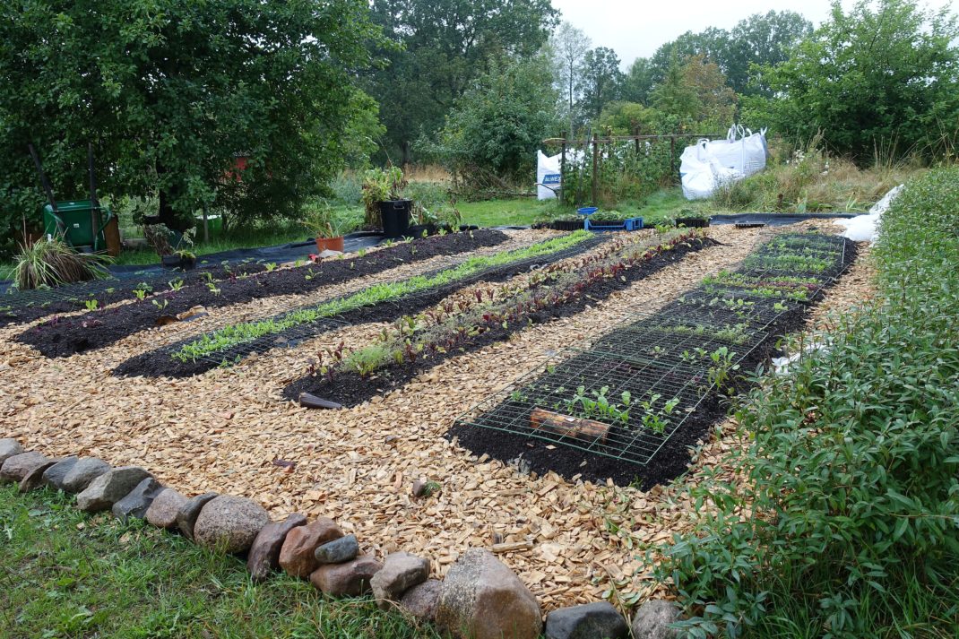 Guide How To Edge Your Beds Sara S, Raised Beds Landscape Fabric