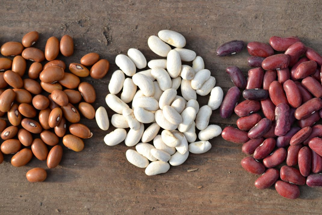 A bean harvest with three piles of beans.