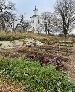 En köksträdgård med odlingsbäddar och gångar av flis. Bakom tornar en vit kyrka upp sig.