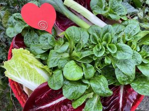 Gröna och röda bladgrönsaker och ett pappershjärta mitt i.
