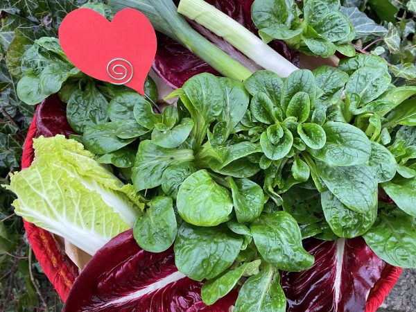 Gröna och röda bladgrönsaker och ett pappershjärta mitt i.