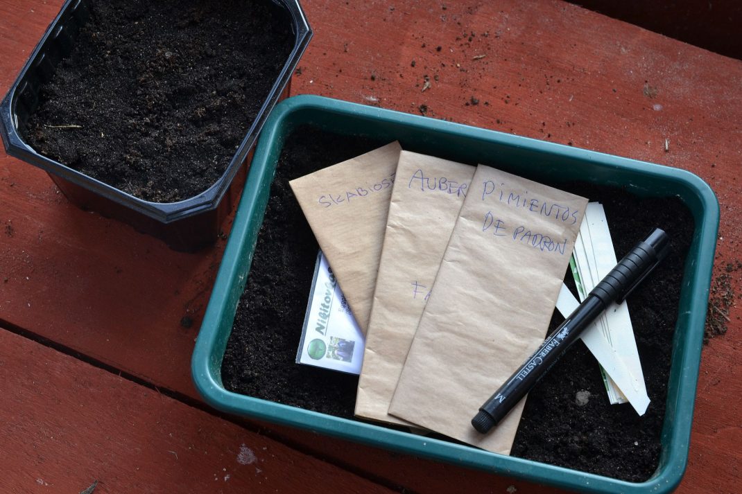 A green trough with soil and seed packets on the ground, preparations for broadcast seeding. 