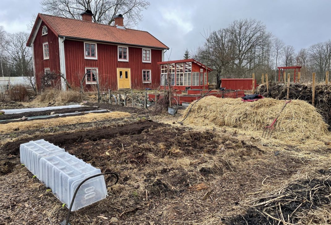 Raised bed garden with straw in the background.